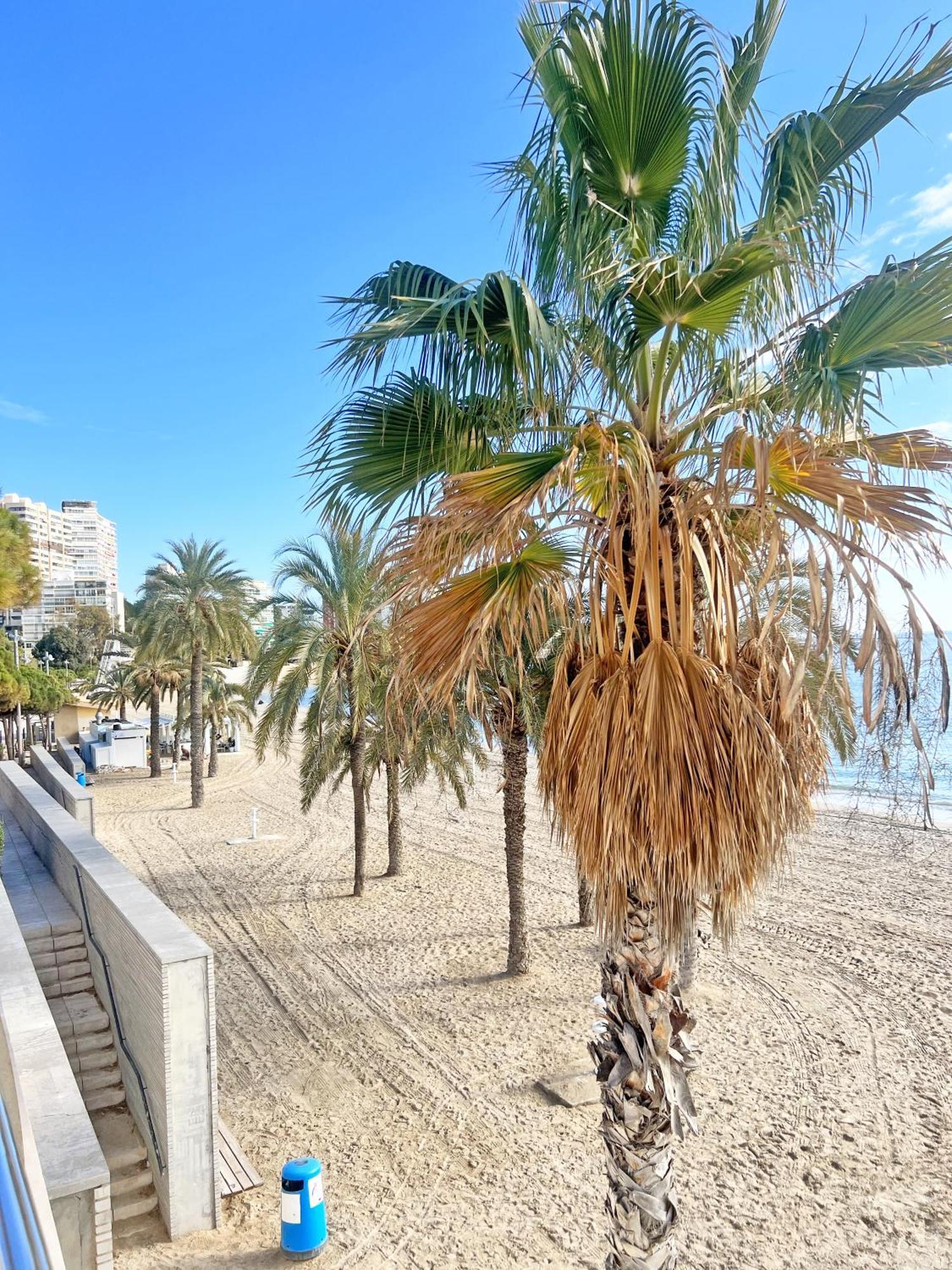 A 100 Metros De La Playa. Parking Gratuito Privado Apartment Alicante Exterior photo